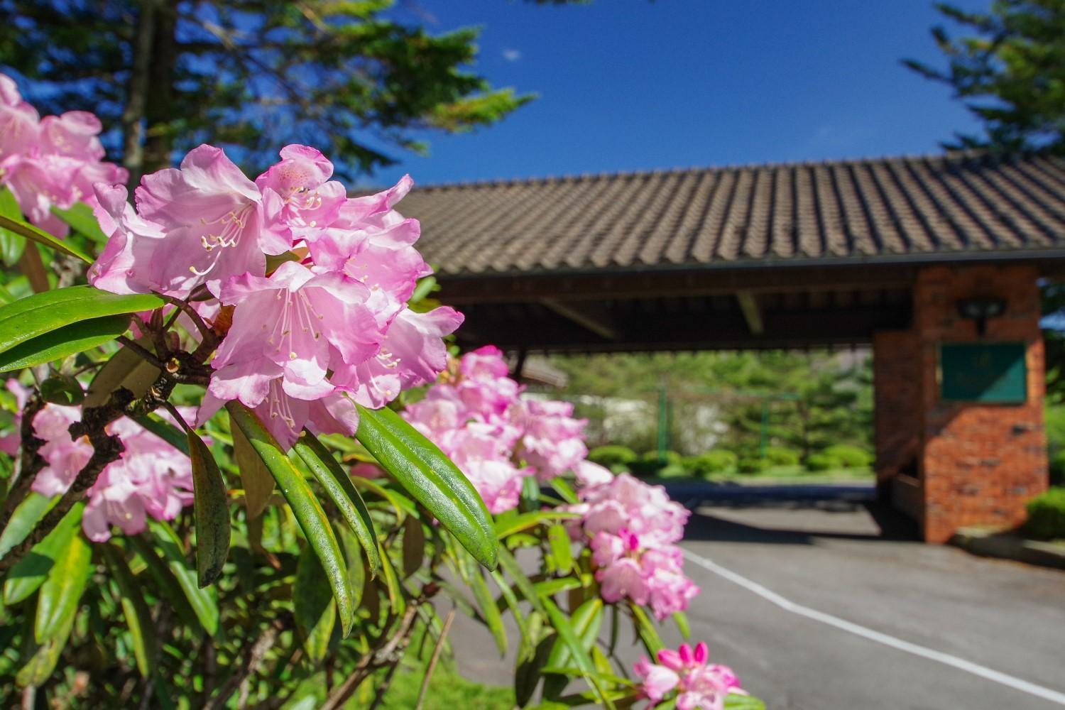 Tsumagoi Prince Hotel Exterior photo